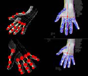 3D Hand and Fingers Reconstruction