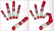 3D Hand and Fingers Reconstruction