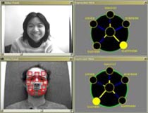 Facial Expression Analysis and Synthesis